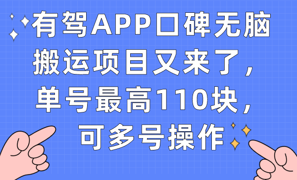 有驾APP口碑无脑搬运项目又来了，单号最高110块，可多号操作|琦哥资源