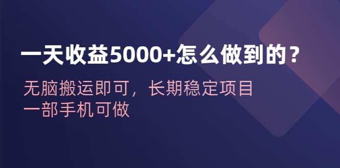 一天收益5000+怎么做到的？无脑搬运即可，长期稳定项目，一部手机可做|琦哥资源