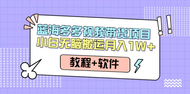 人人都能操作的蓝海多多视频带货项目 小白无脑搬运（教程+软件）|琦哥资源