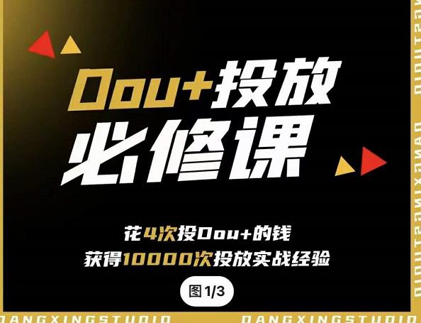 代同学DOU+投放训练营，用付费流量撬动大额自然流量，过得超额变现转化|琦哥资源