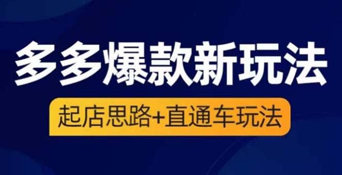 2023拼多多爆款·新玩法：起店思路+直通车玩法（3节精华课）|琦哥资源