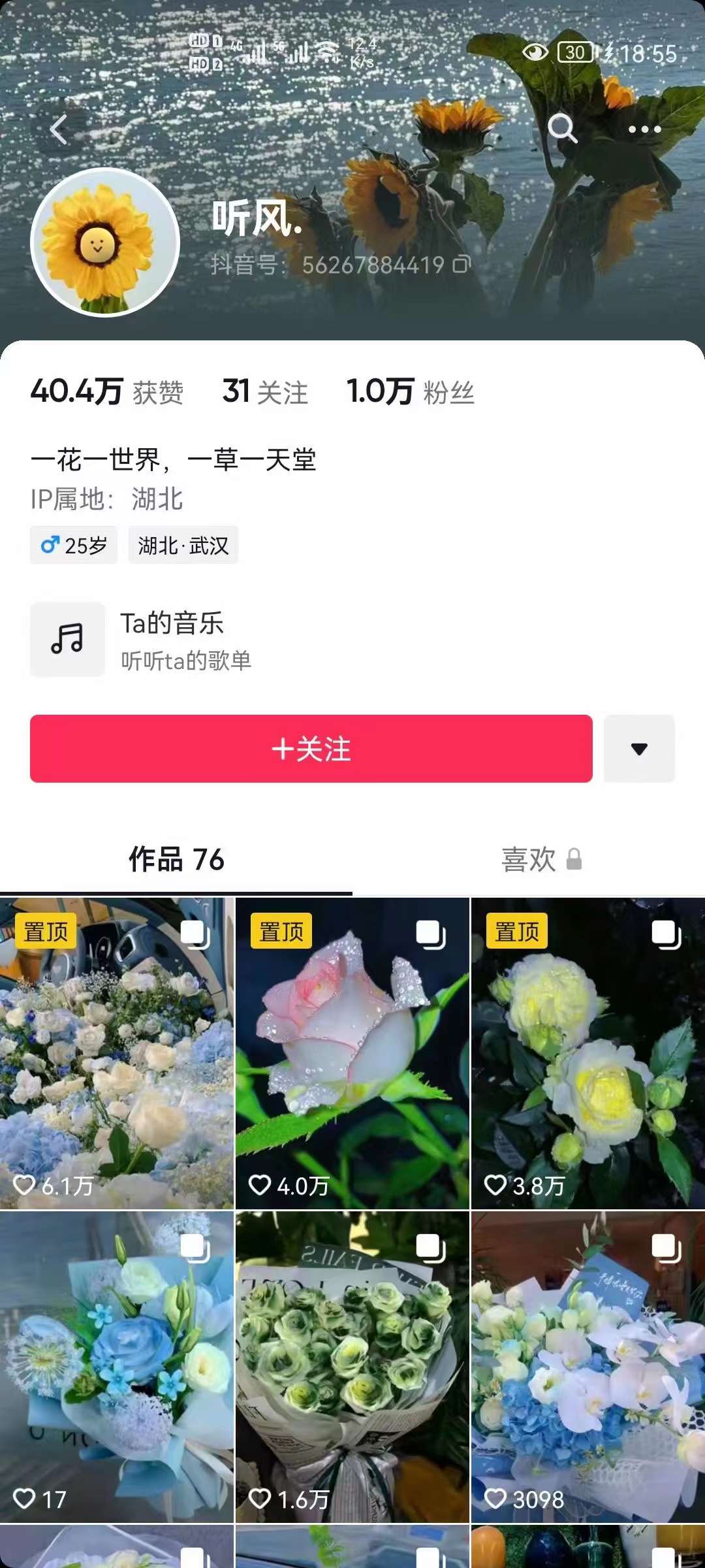 图片[2]|抖音壁纸变现项目：实战日入380+发布壁纸素材获取收益！|琦哥资源