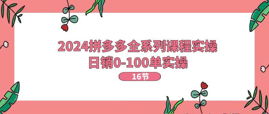 2024拼多多全系列课程实操，日销0-100单实操【16节课】|琦哥资源
