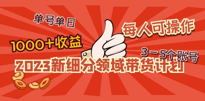 2023新细分领域带货计划：单号单日1000+收益不难，每人可操作3-5个账号|琦哥资源