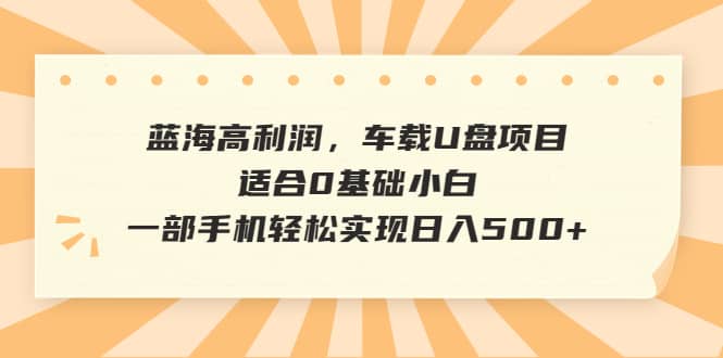 蓝海高利润，车载U盘项目，适合0基础小白，一部手机轻松实现日入500+|琦哥资源