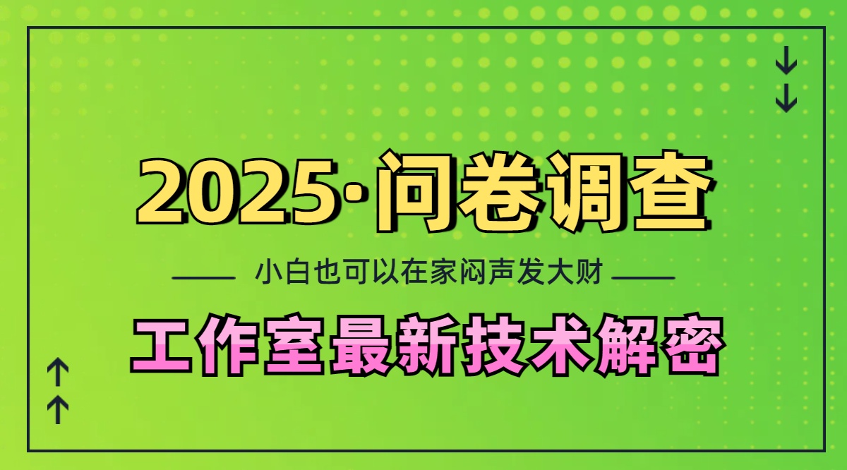2025《问卷调查》最新工作室技术解密：一个人在家也可以闷声发大财，小白一天200+，可矩阵放大|琦哥资源