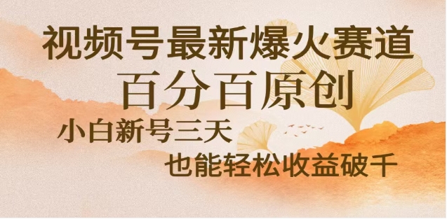 视频号独家玩法，老年养生赛道，无脑搬运爆款视频，日入2000+|琦哥资源