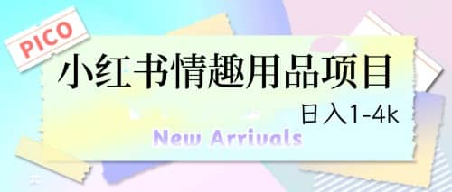 最新小红书情趣用品项目，日入1-4k|琦哥资源