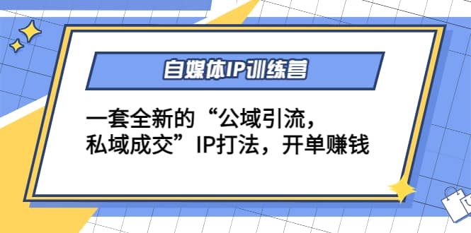 自媒体IP训练营(12+13期)一套全新的“公域引流，私域成交”IP打法|琦哥资源