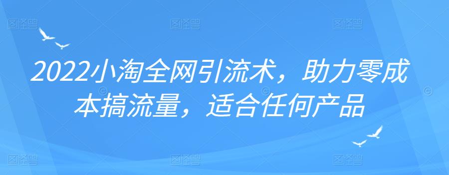 2022年小淘全网引流术，助力零成本搞流量，适合任何产品|琦哥资源