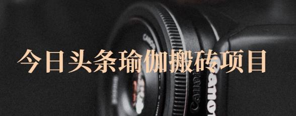 猎人社区·今日头条瑜伽搬砖项目，单号一天几十收入，可以批量操作！|琦哥资源