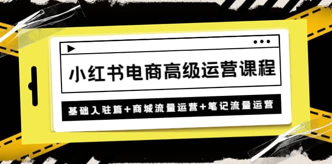 小红书电商高级运营课程：基础入驻篇+商城流量运营+笔记流量运营|琦哥资源