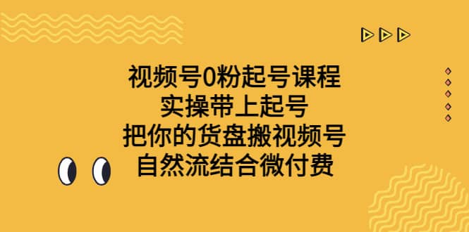 视频号0粉起号课程 实操带上起号 把你的货盘搬视频号 自然流结合微付费|琦哥资源
