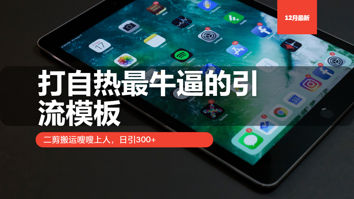 打自热最牛逼的引流模板，日引300+，二剪搬运嗖嗖上人|琦哥资源