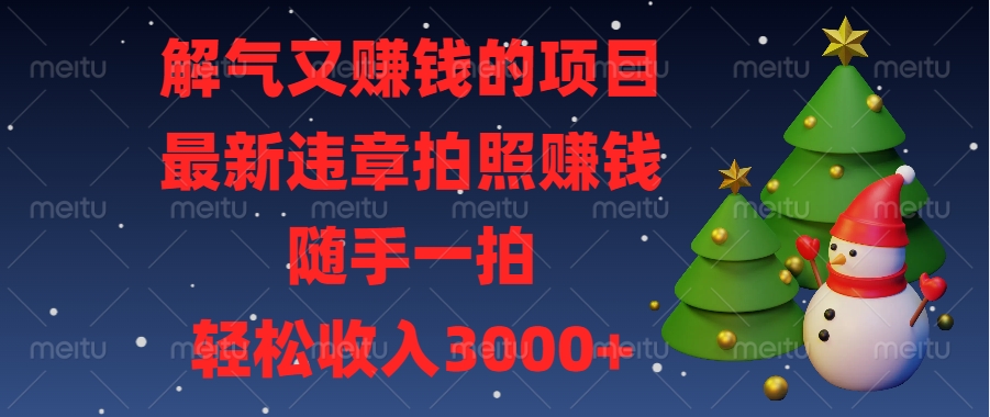 最新违章拍照赚钱，随手一拍，解气又赚钱的项目，轻松收入3000+|琦哥资源