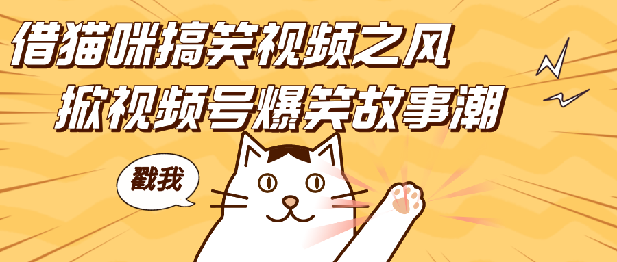 借猫咪搞笑视频之风，掀视频号爆笑故事潮，轻松日赚四位数，开启无门槛赚钱新体验！|琦哥资源