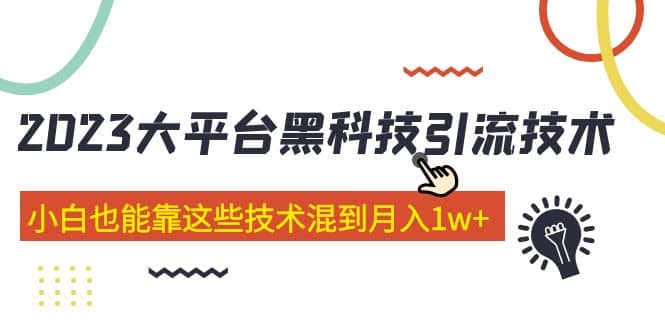 价值4899的2023大平台黑科技引流技术 29节课|琦哥资源
