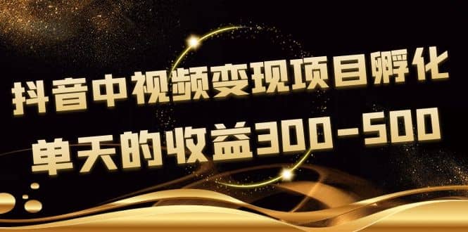 黄岛主《抖音中视频变现项目孵化》单天的收益300-500 操作简单粗暴|琦哥资源