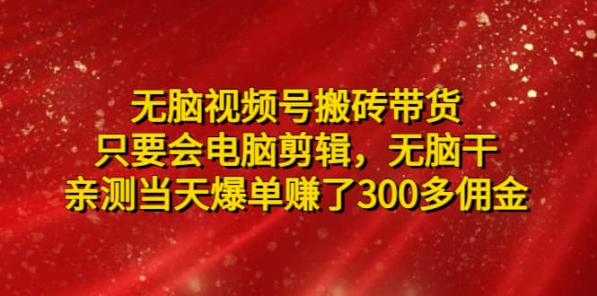 无脑视频号搬砖带货，只要会电脑剪辑，无脑干|琦哥资源