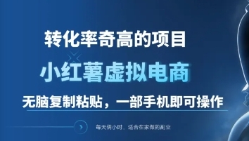 一单49.9，转化率奇高的项目，冷门暴利的小红书虚拟电商|琦哥资源