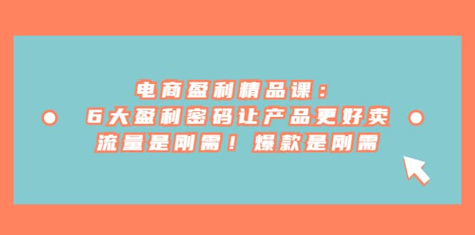 电商 盈利精品课：6大盈利 密码让产品更好卖，流量是刚需！爆款是刚需|琦哥资源