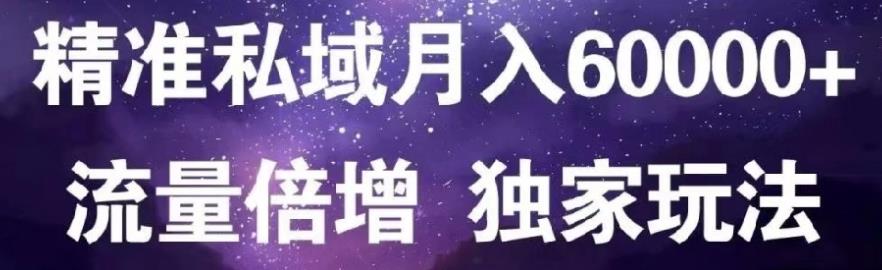 原力网赚精准私域月入60000+,流量倍增独家玩法|琦哥资源