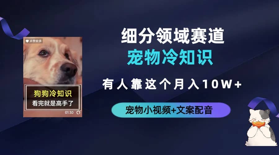 不起眼的抖音细分赛道-宠物冷知识，一段宠物视频配文案，有人靠这个月入10w|琦哥资源