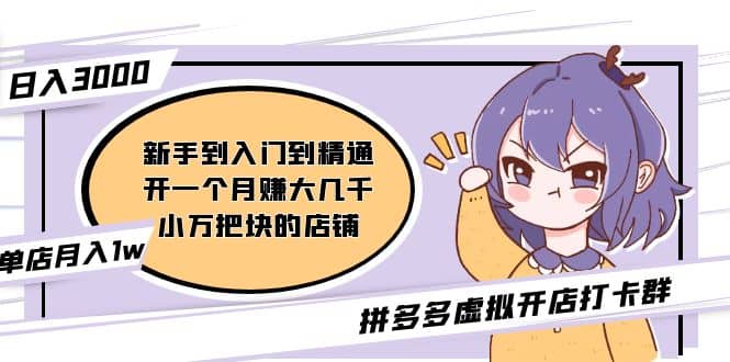 拼多多虚拟开店打卡群：新手到入门到精通|琦哥资源