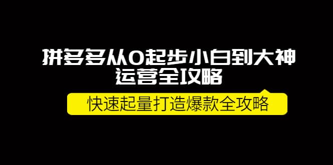 拼多多从0起步小白到大神运营全攻略|琦哥资源