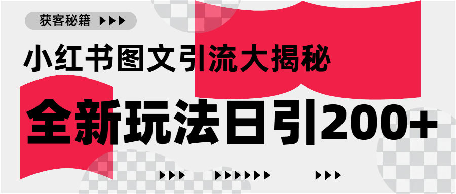小红书图文引流，只需一张图片即可撬动百万流量，日引200+创业粉|琦哥资源