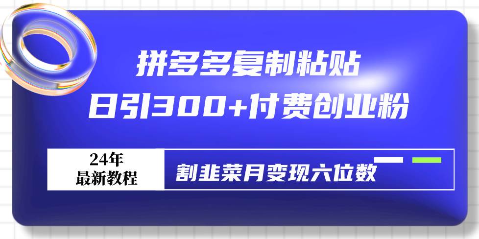 拼多多复制粘贴日引300+付费创业粉，割韭菜月变现六位数最新教程！|琦哥资源