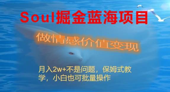 Soul掘金蓝海项目细分赛道，做情感价值变现，月入2w+不是问题|琦哥资源