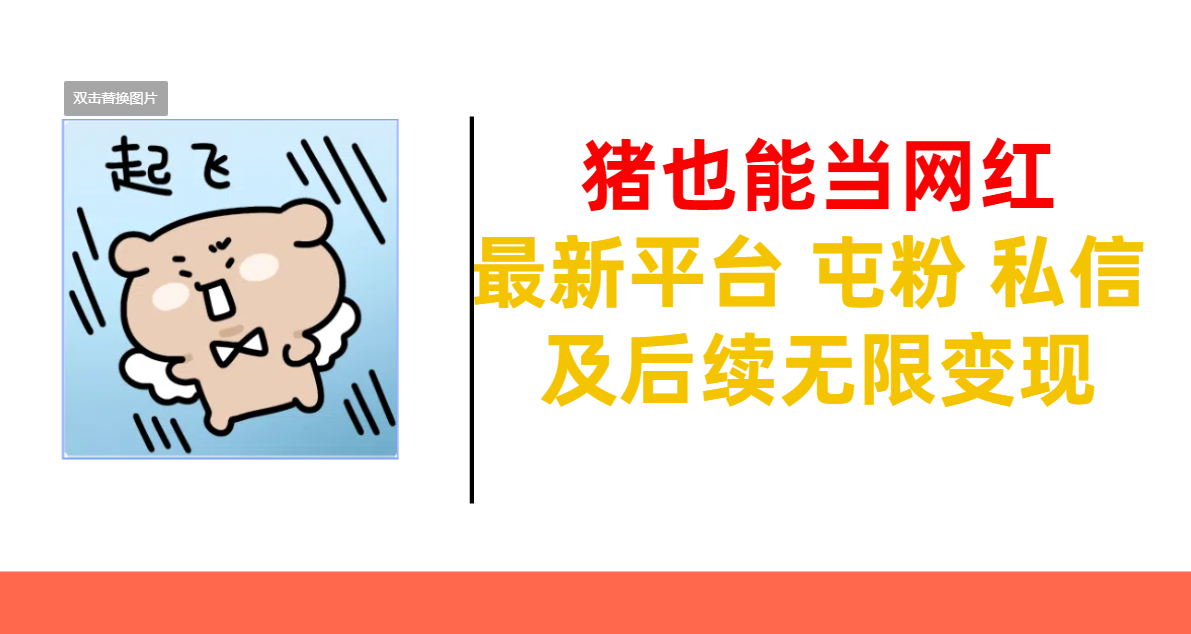 猪也能当网红-最新平台 屯粉 交流 私信 及后续无限变现|琦哥资源