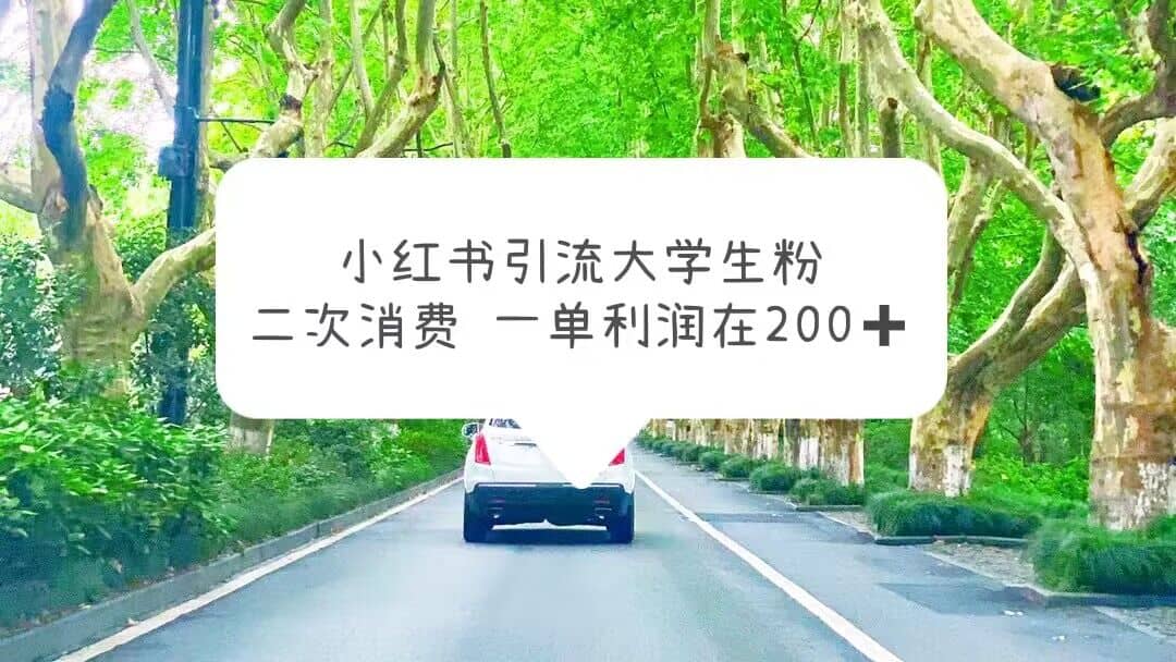 小红书引流大学生粉，变现项目，一单利润在200+（教程+资源）|琦哥资源