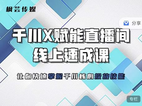 枫芸传媒-线上千川提升课，提升千川认知，提升千川投放效果|琦哥资源