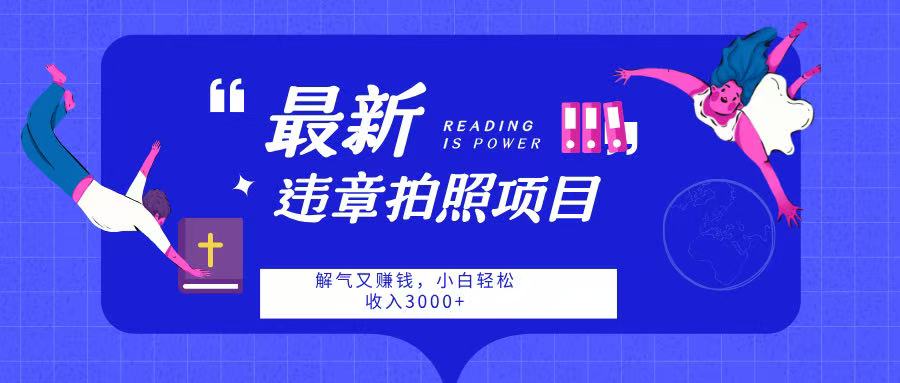 最新违章拍照项目，解气又赚钱，随手一拍，轻松收入3000|琦哥资源