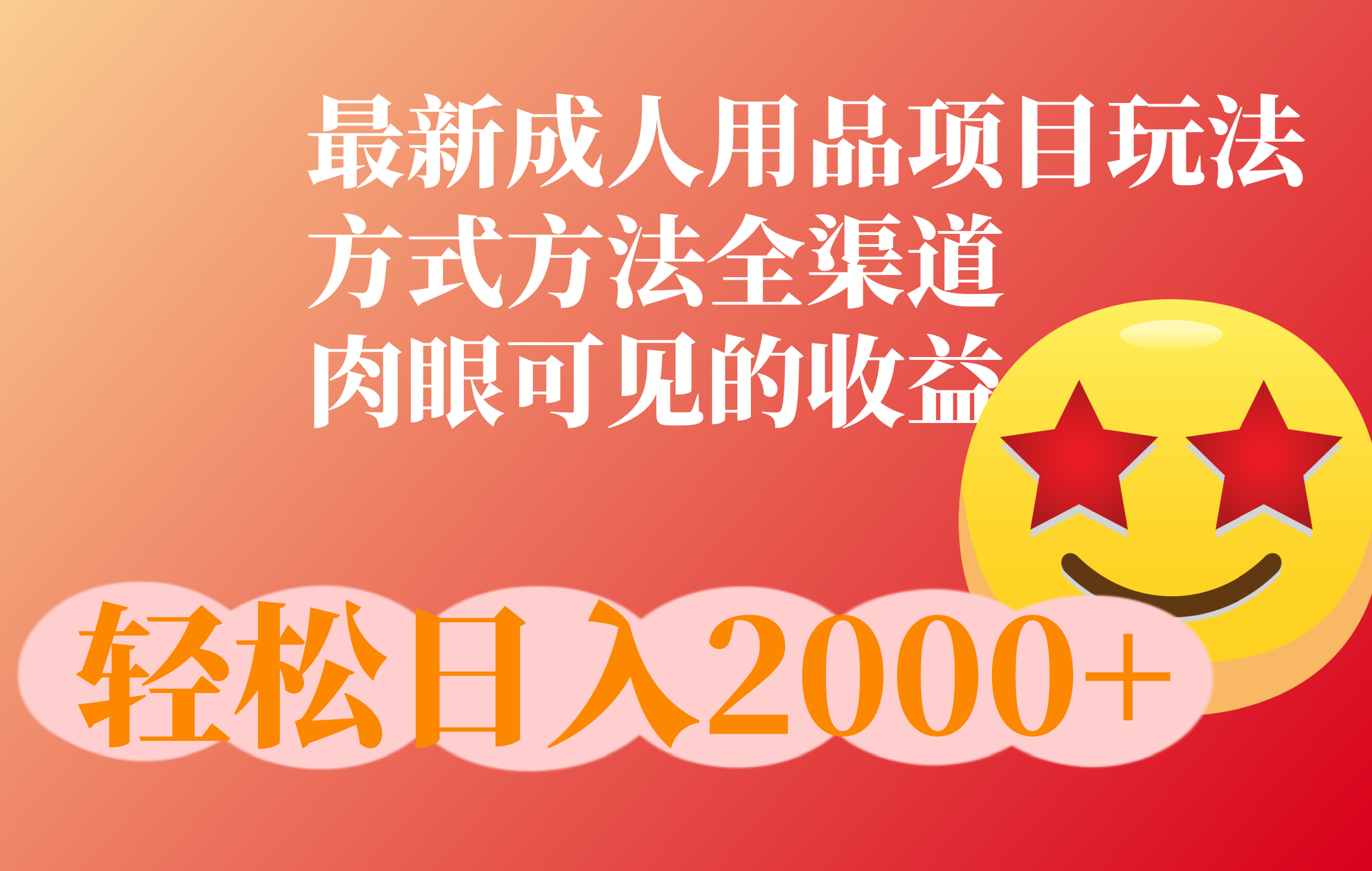 成人用品项目最新玩法，方式方法全渠道|琦哥资源