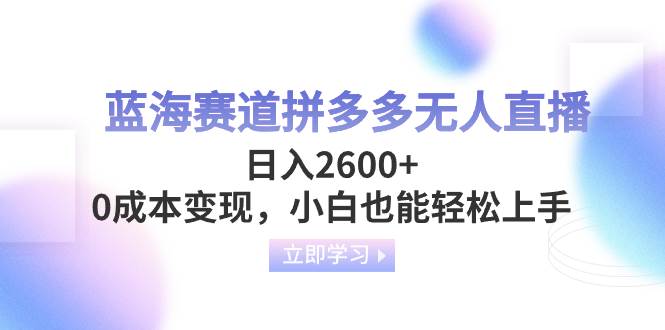 蓝海赛道拼多多无人直播，日入2600+，0成本变现，小白也能轻松上手|琦哥资源