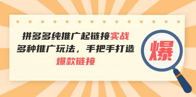拼多多纯推广起链接实战：多种推广玩法，手把手打造爆款链接|琦哥资源
