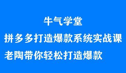 牛气学堂拼多多打造爆款系统实战课，老陶带你轻松打造爆款|琦哥资源