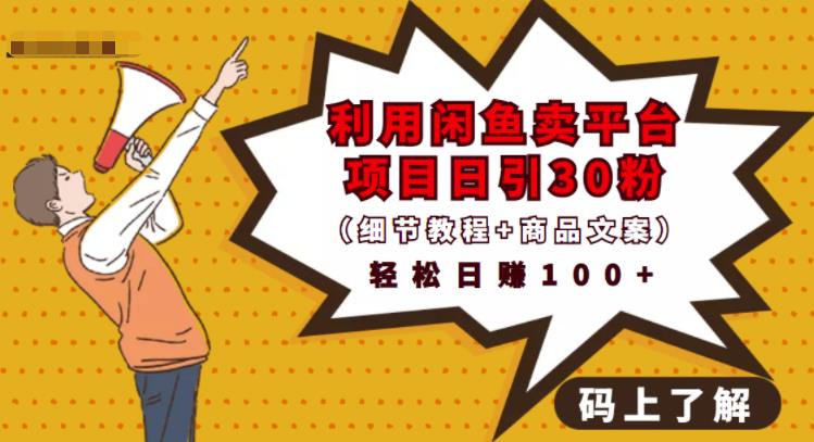 利用闲鱼卖平台项目课程资源日引流30+精准粉丝，轻松日赚100+，积累人脉可实现二次变现（细节教程+商品文案）|琦哥资源