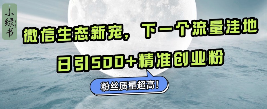 微信生态新宠小绿书：下一个流量洼地，粉丝质量超高，日引500+精准创业粉，|琦哥资源