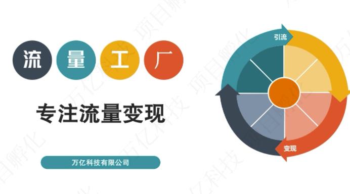 收费3980的流量工厂回粉项目，号称1个粉10元【详细玩法教程解析】|琦哥资源