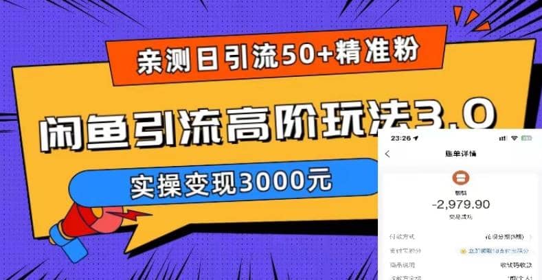 实测日引50+精准粉，闲鱼引流高阶玩法3.0，实操变现3000元|琦哥资源
