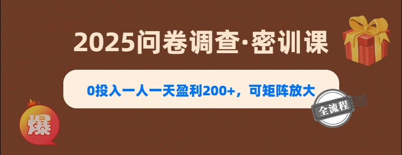 2025《问卷调查》0投入一人一天盈利200+，可矩阵放大|琦哥资源