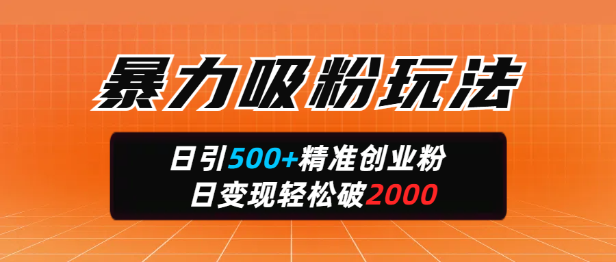 暴力吸粉玩法，日引500+精准创业粉，日变现轻松破2000|琦哥资源
