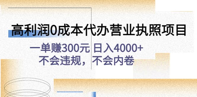 高利润0成本代办营业执照项目：不会违规，不会内卷|琦哥资源