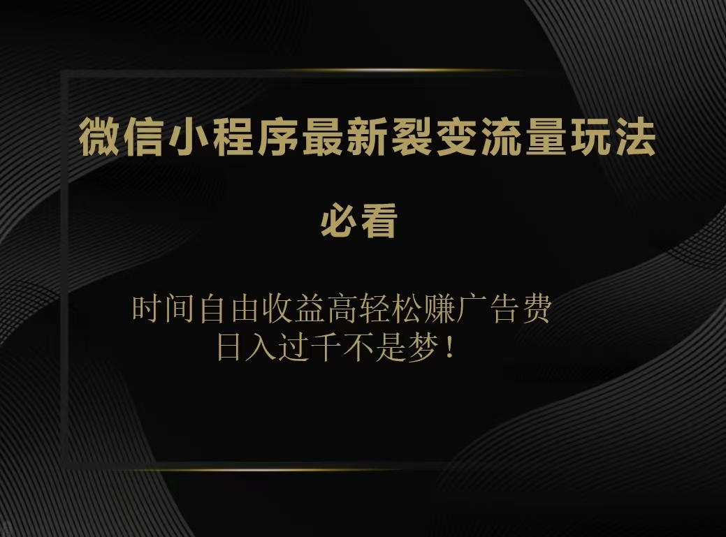 微信小程序最新裂变流量玩法，时间自由收益高轻松赚广告费，日入200-500+|琦哥资源