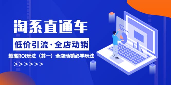 淘系直通车《低价·引流 全店·动销》超高ROI玩法（其一）全店动销必学玩法|琦哥资源