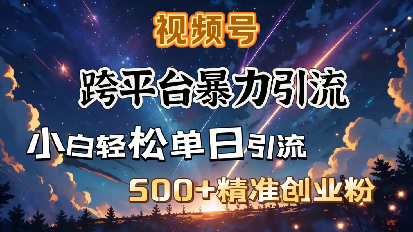视频号跨平台暴力引流，小白轻松单日引流500＋精准创业粉|琦哥资源